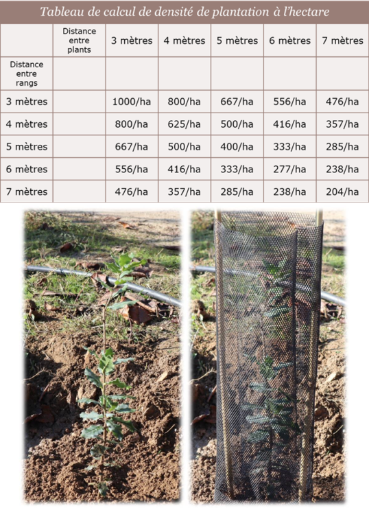 tableau de densité de plantation / kit de protection truffiers